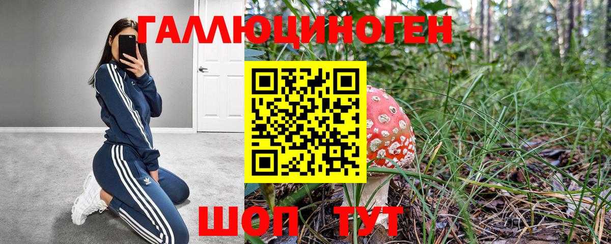 Сарапул  Галлюциногенные грибы мухоморы  Вход с VPN 