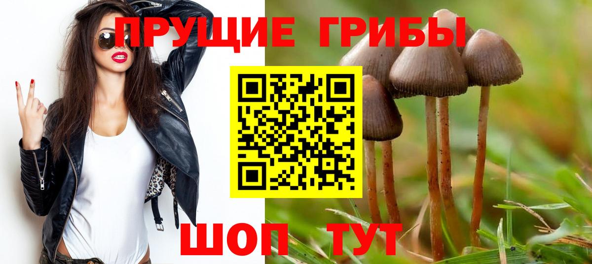 Псилоцибиновые грибы GOLDEN TEACHER Сарапул